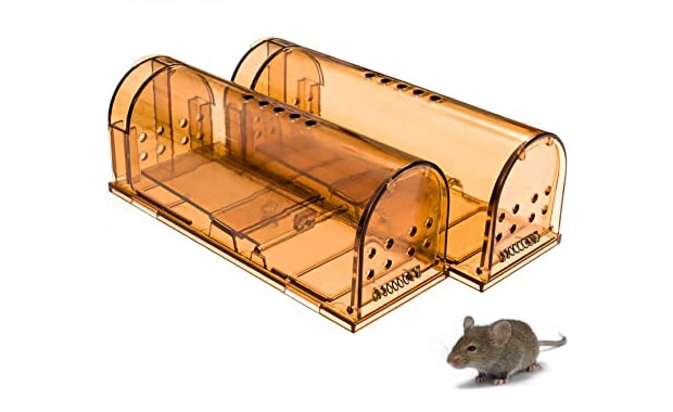CaptSure Original Humane Mouse Trap