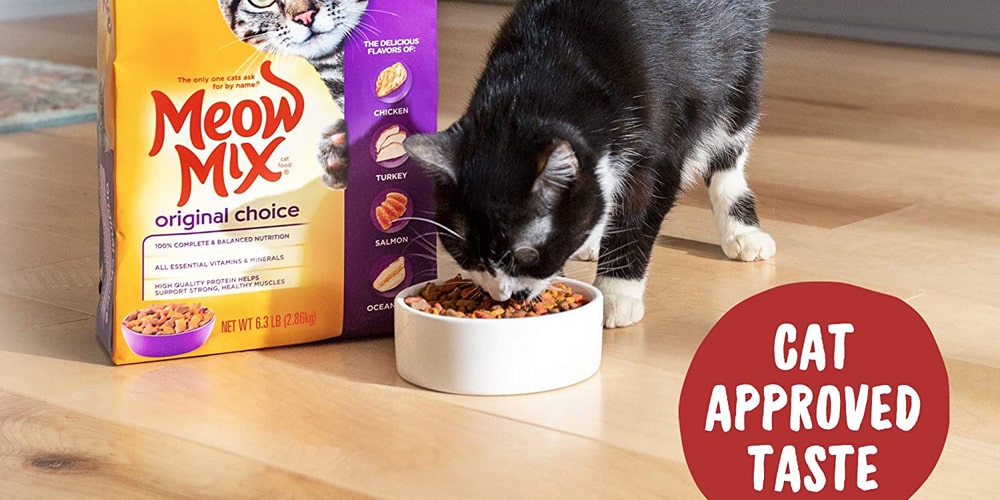 The 15 Best Cat Foods of 2021 Best Wiki